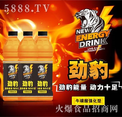 �ű��������